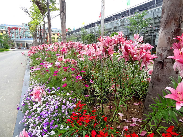 DSC07179_.jpg