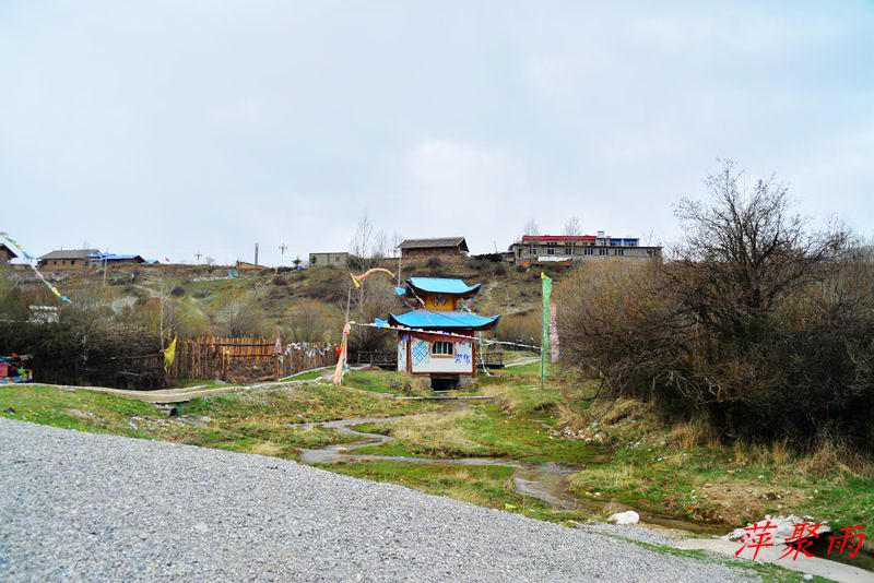 DSC_0011.JPG