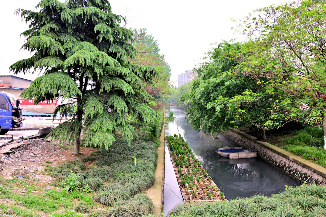 2014-4-26 008.jpg