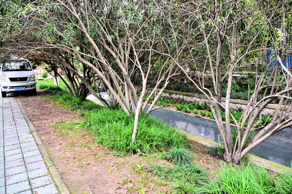 2014-4-26 012.jpg
