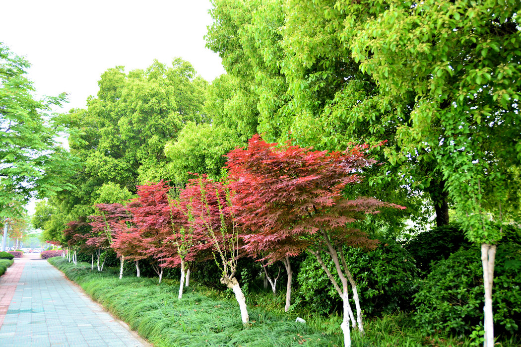 2014-4-26 018.jpg