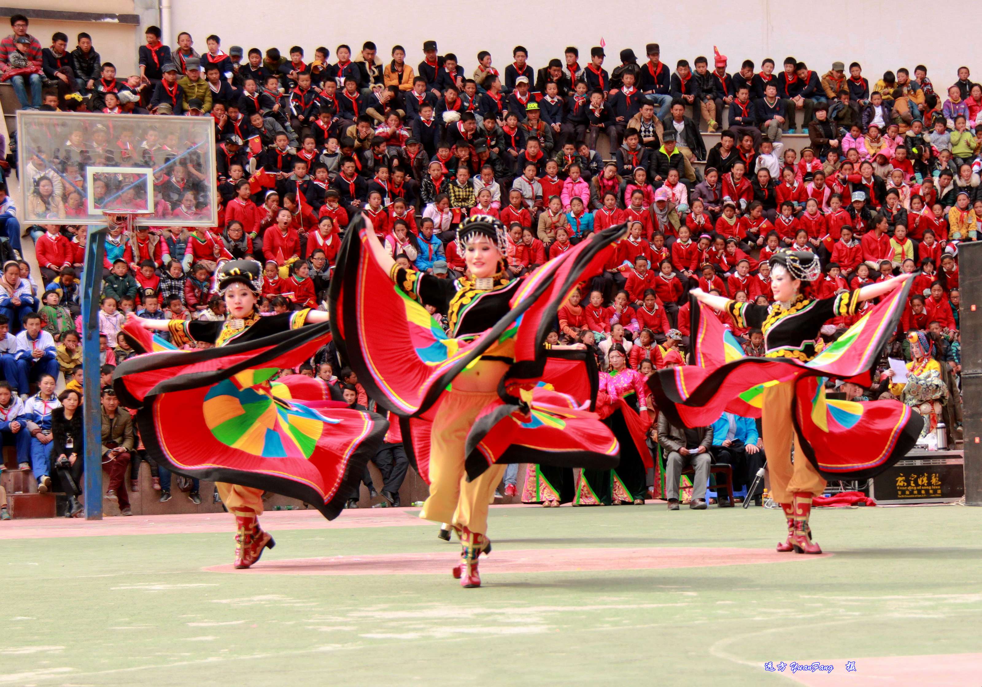 IMG_6915.JPG