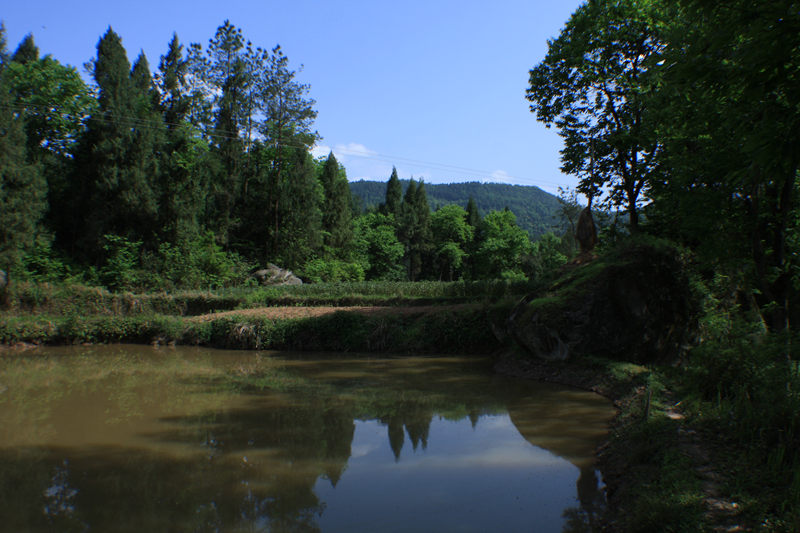 IMG_5684_.jpg