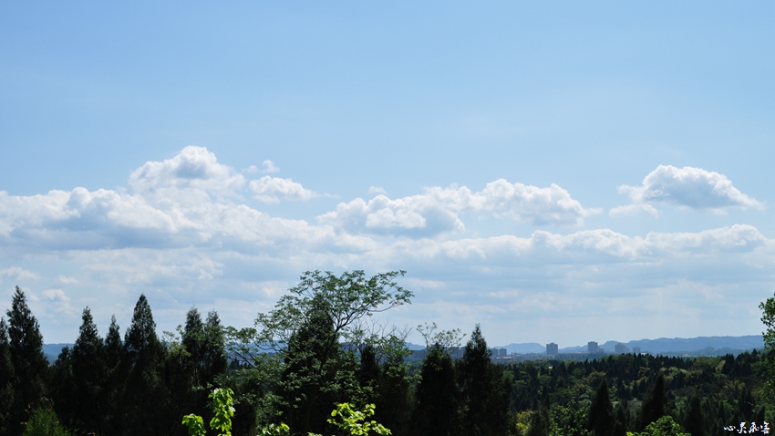 DSC_0595.jpg