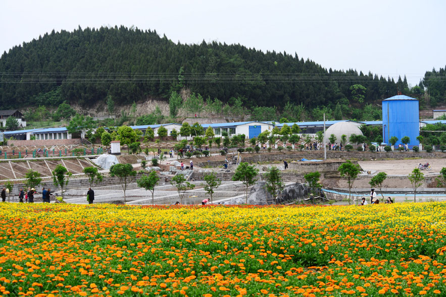 四川西充百科园图片