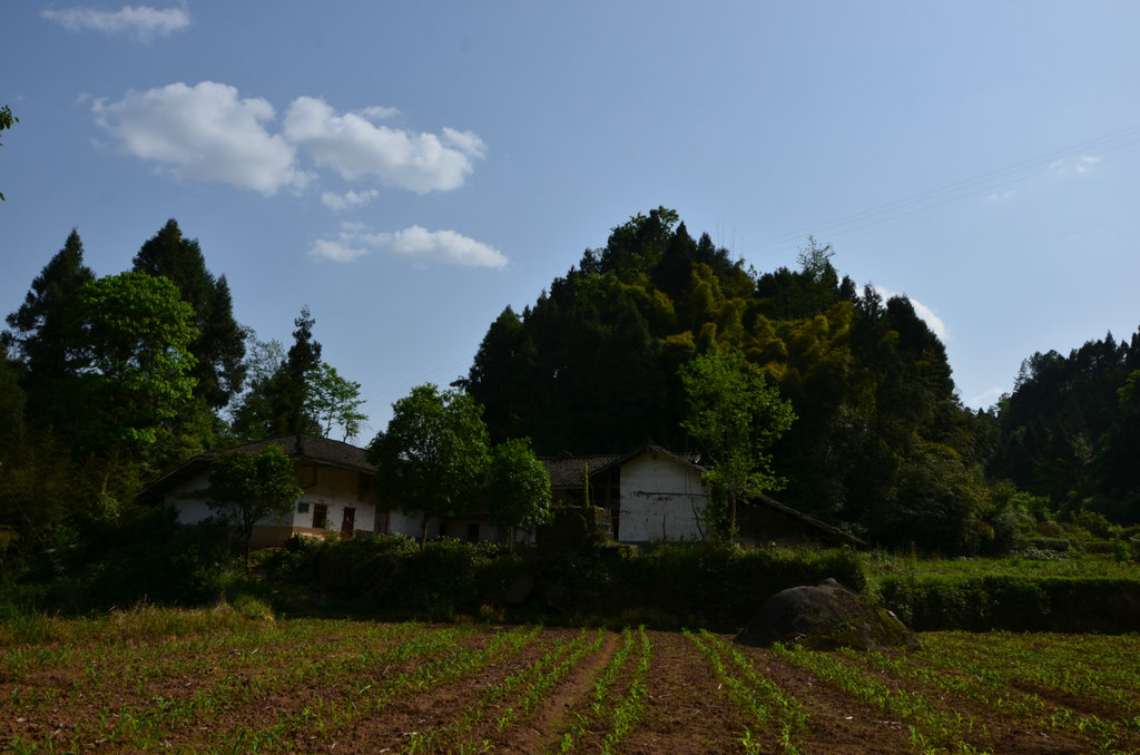 DSC_5761.JPG