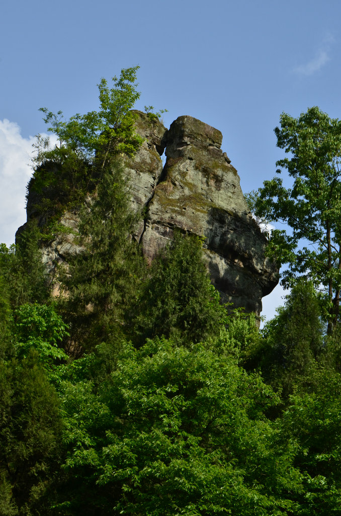 DSC_5782.JPG