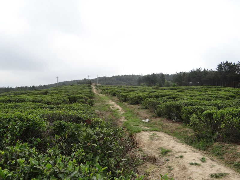 DSC02618.JPG