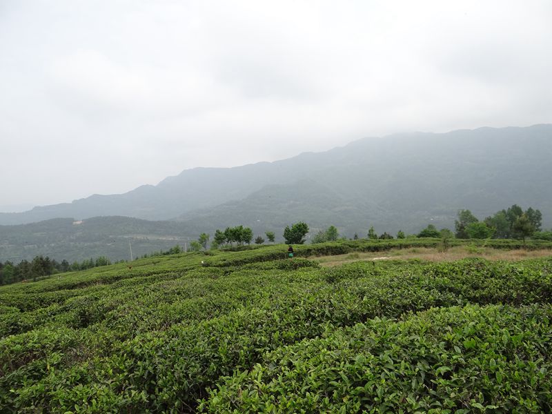 DSC02637.JPG