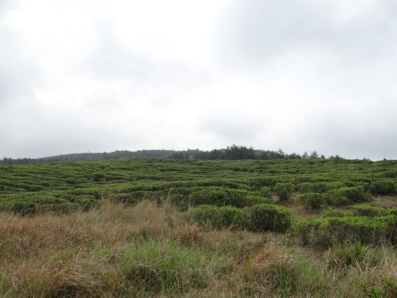 DSC02641.JPG