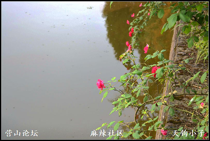 DSC_1317.jpg