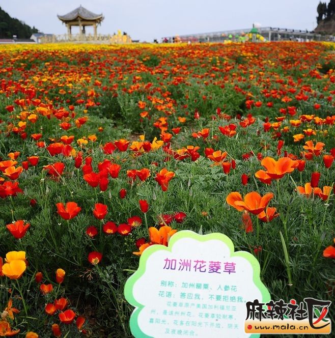 QQͼƬ20140430112227.jpg
