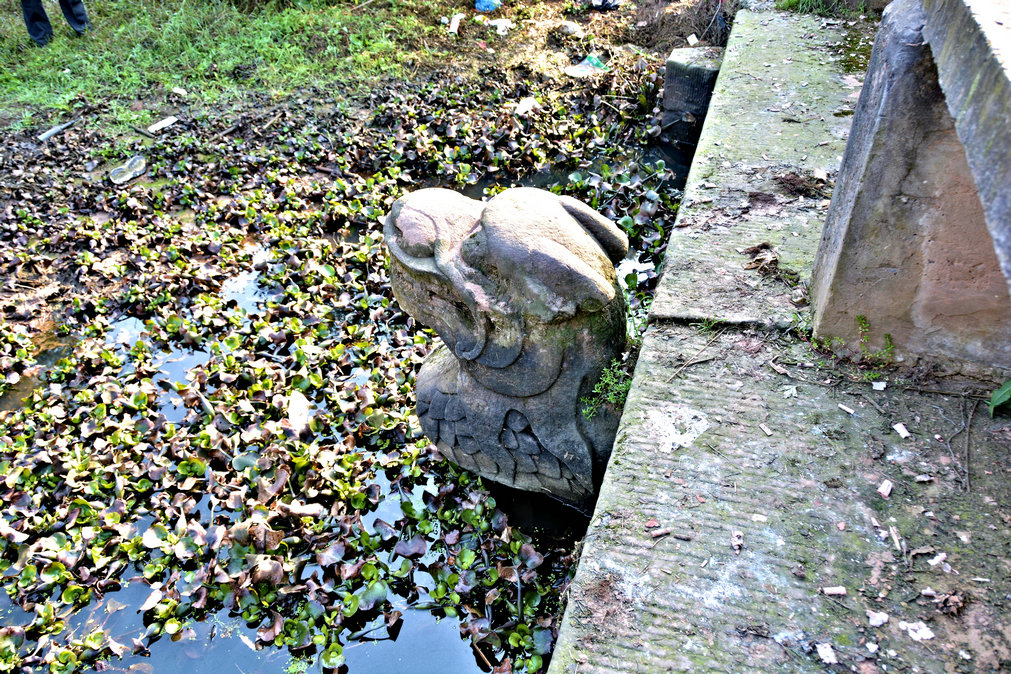 DSC_0362.JPG