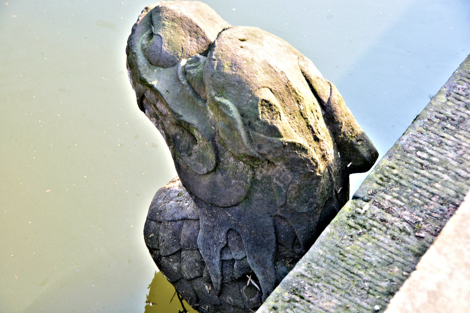 DSC_0373.JPG