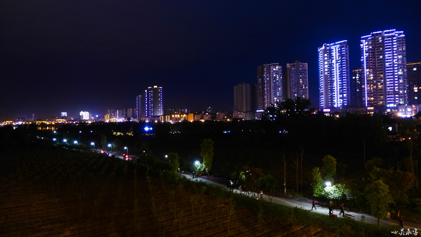 P1020731.jpg