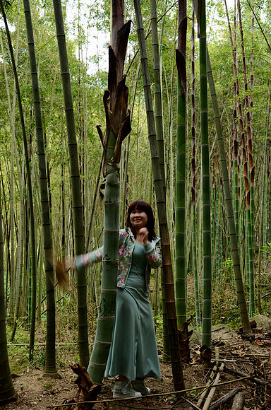 [平昌摄影] 澌滩----澌滩