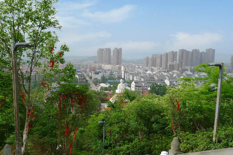 P1040629.jpg