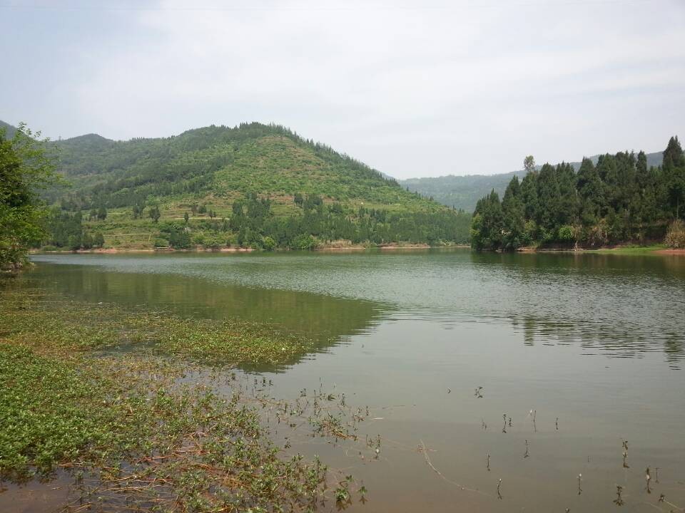 QQͼƬ20140502193435.jpg