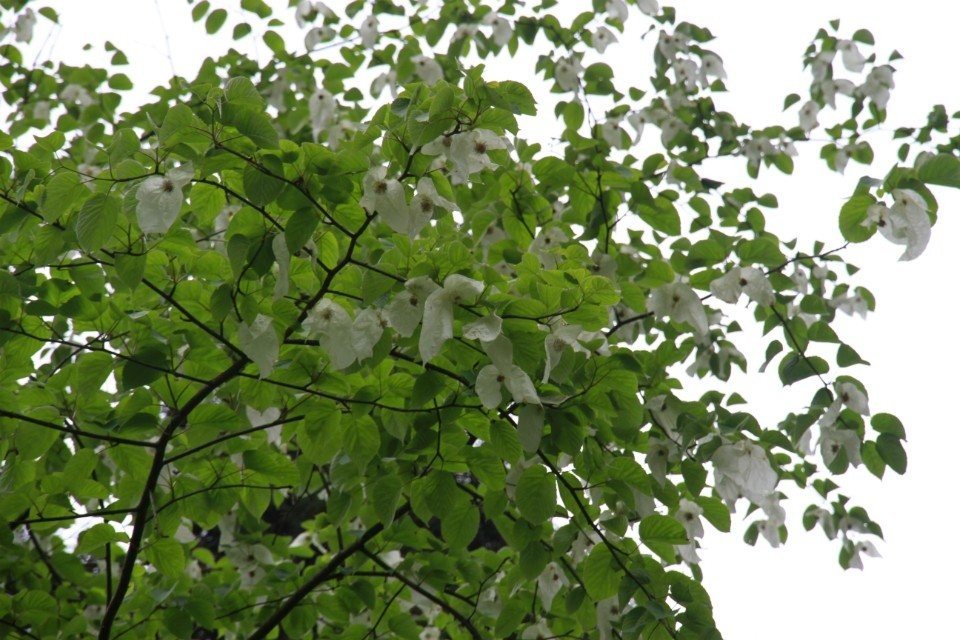 QQͼƬ20140503092643.jpg