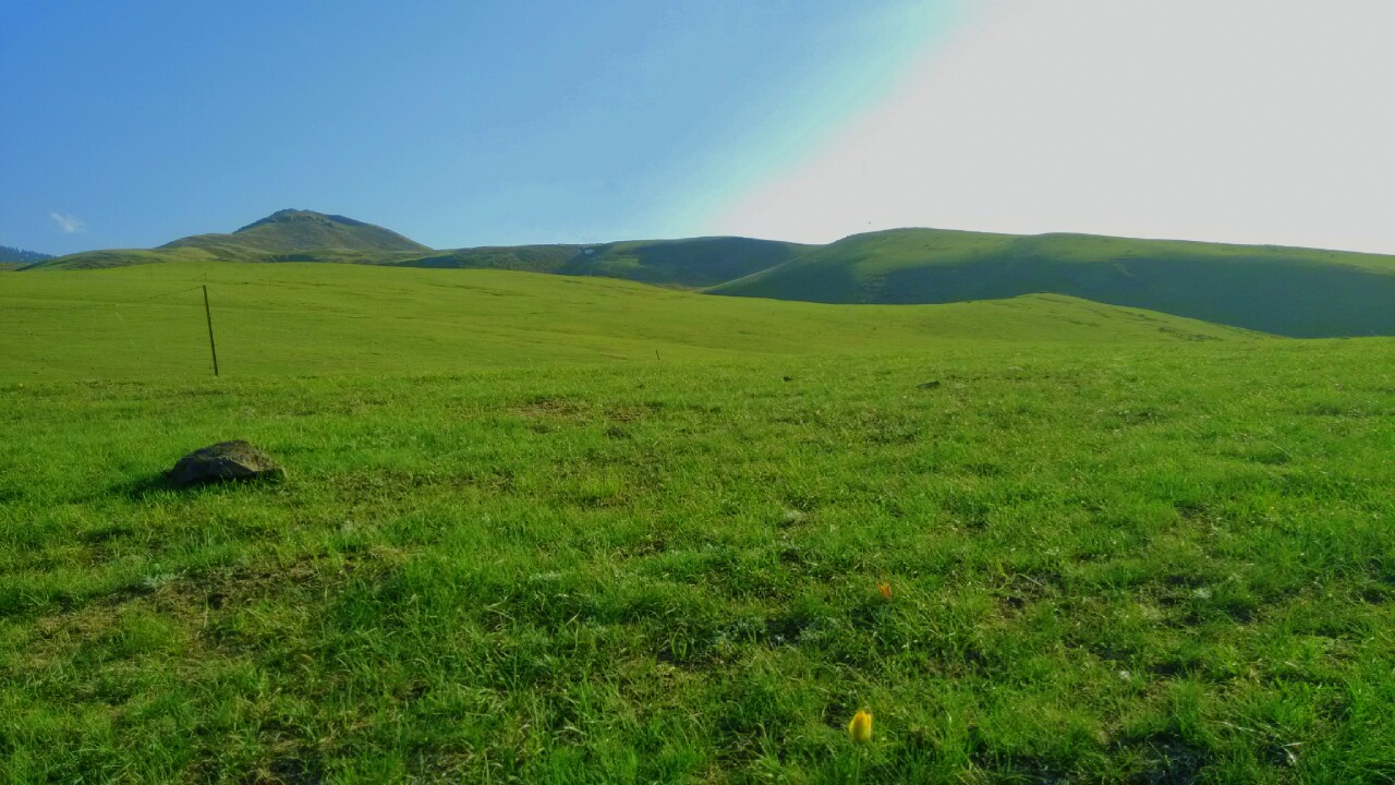 IMG_20140503_195251-1.jpg