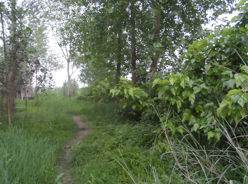 77.jpg