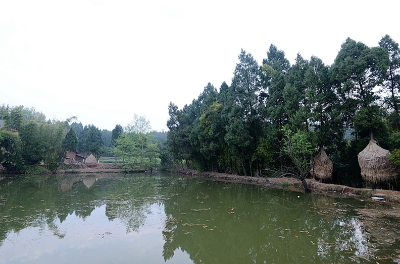 DSC_4302.JPG