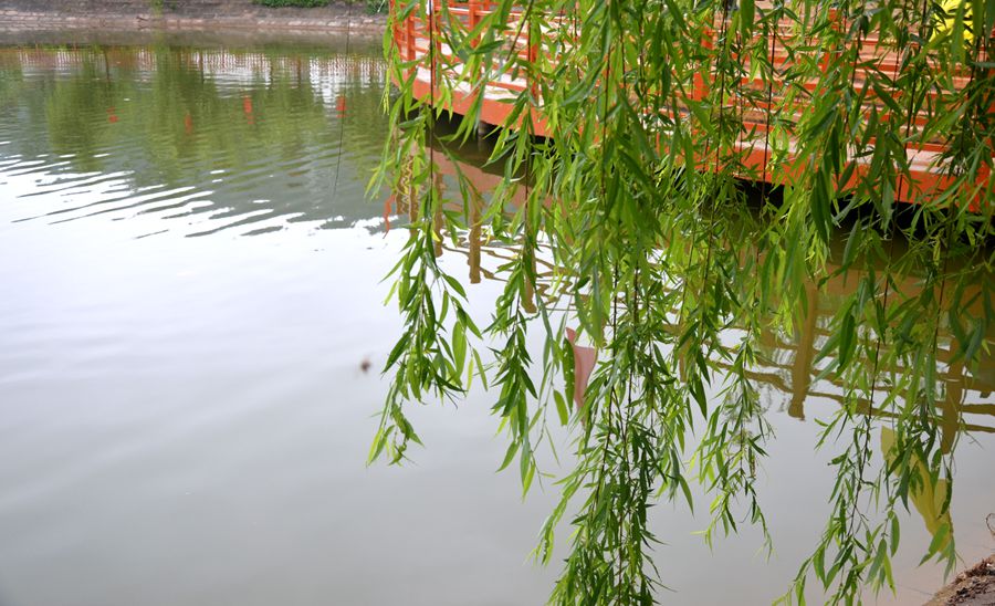 DSC_9127.JPG