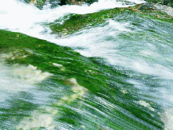 600_450gif 动态图 动图