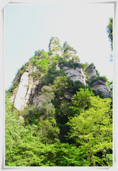 DSC_0602_.jpg