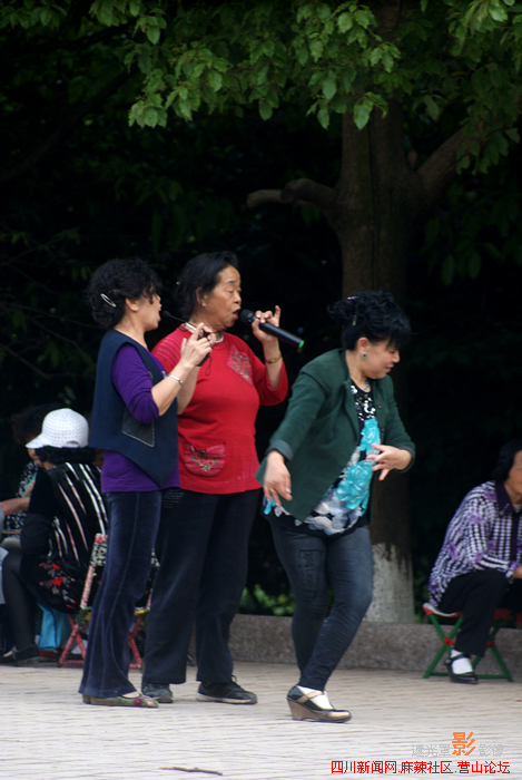 DSC02249.jpg