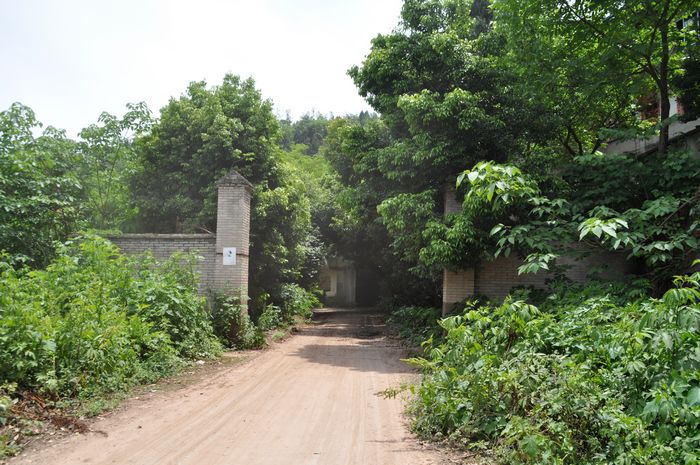 DSC_0018.jpg