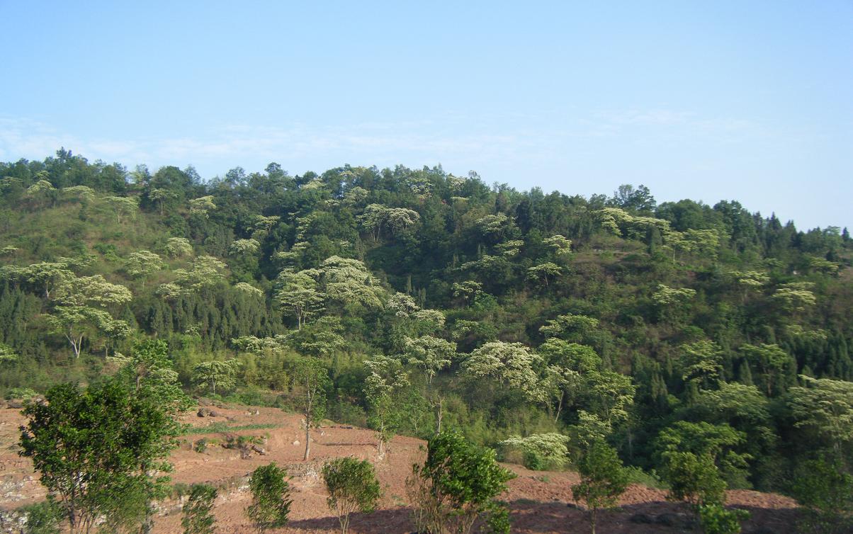 DSCF1256.JPG