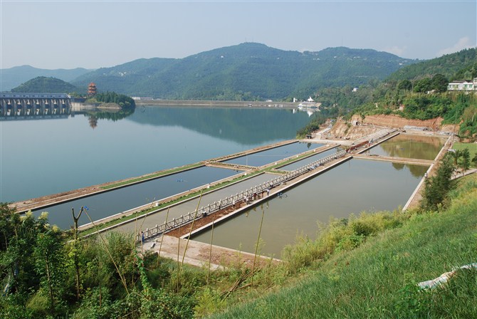 请教关于升钟湖农家乐的相关情况!