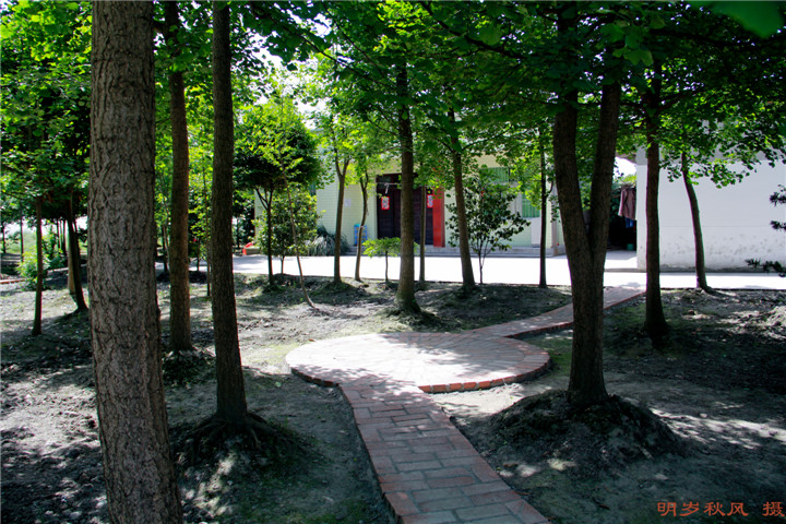 IMG_9895.jpg