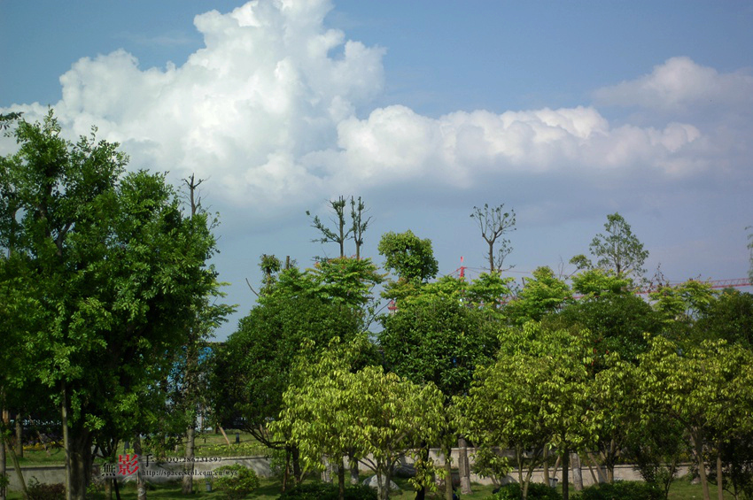 DSC_1850.jpg