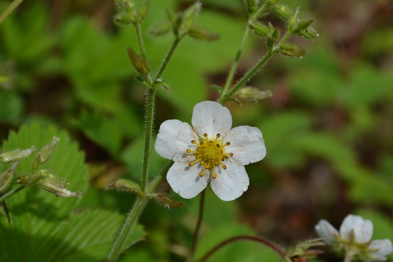 DSC_0139.JPG