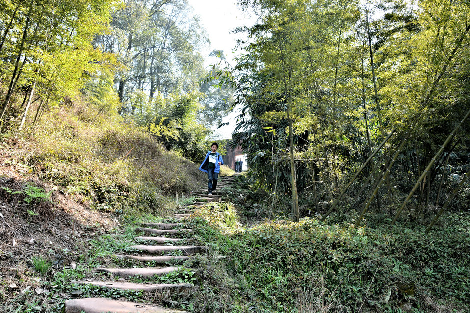 DSC_0473.JPG