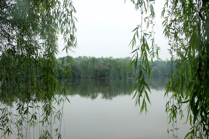 IMG_4272_.jpg