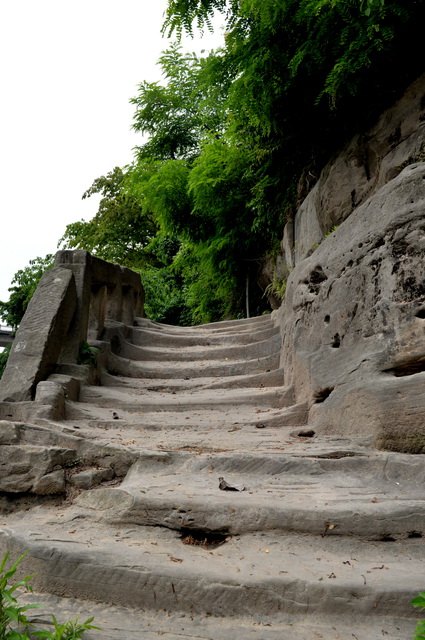 DSC_1296.jpg