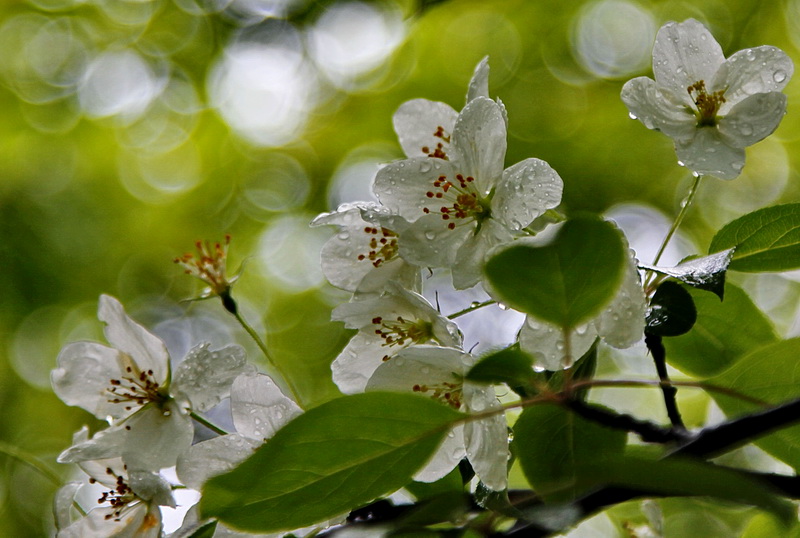 _MG_3868.JPG