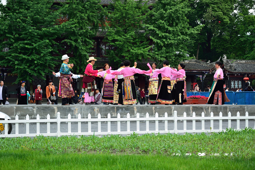 DSC_6944_.jpg