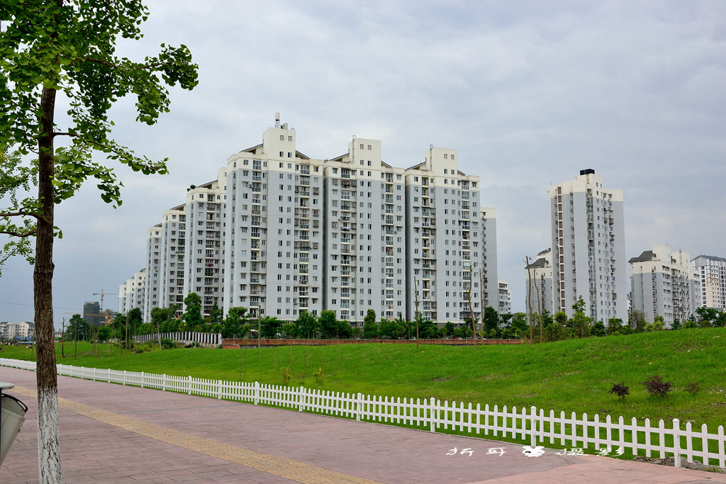 DSC_7004_.jpg