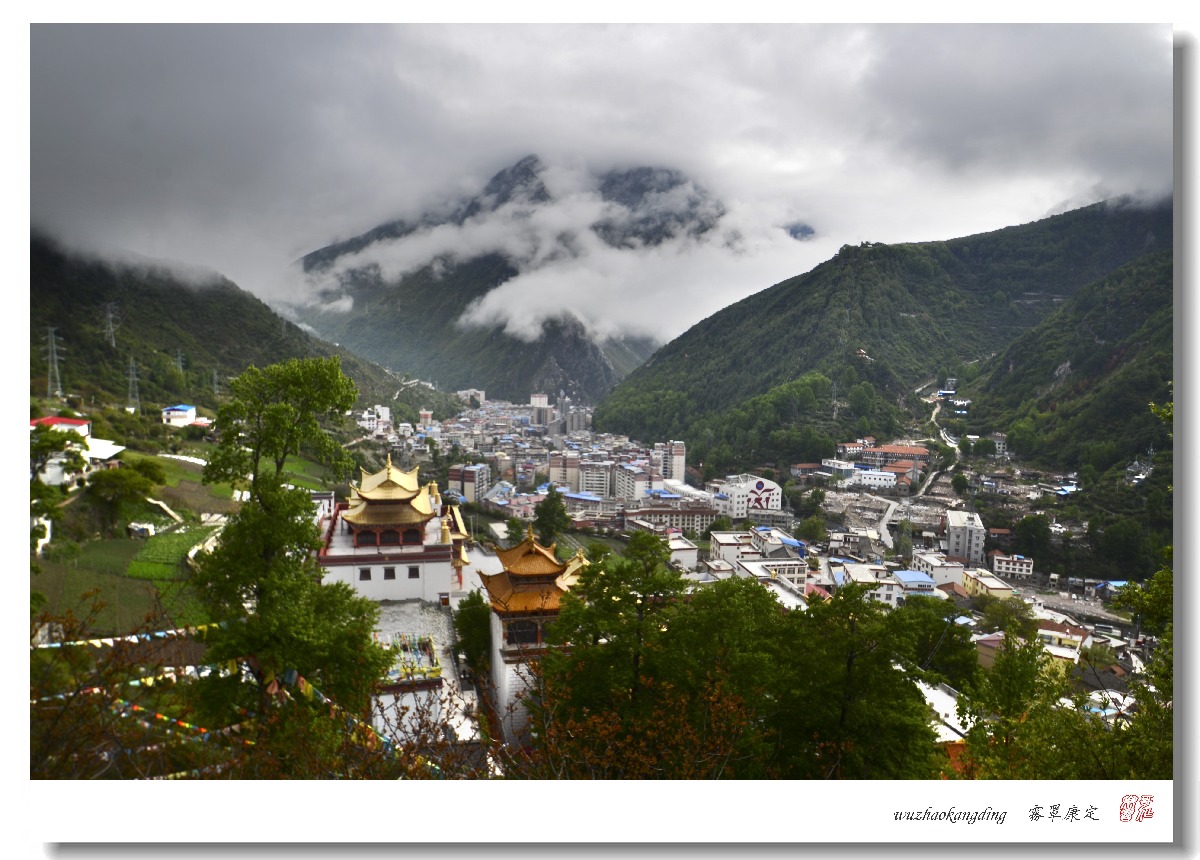 DSC_7019.jpg