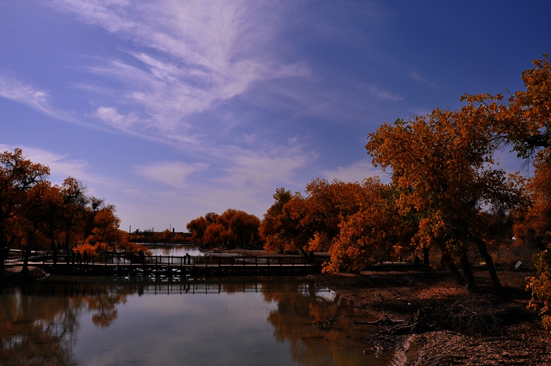 Ƭ 058.jpg