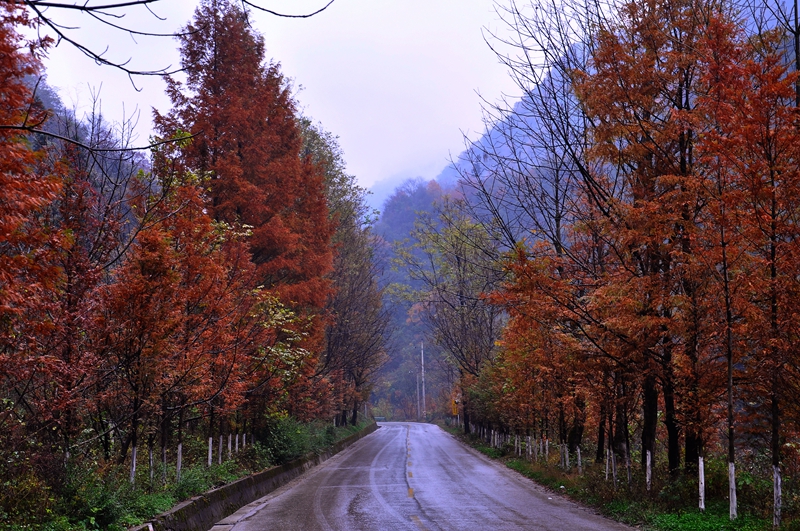 Ƭ 081.jpg