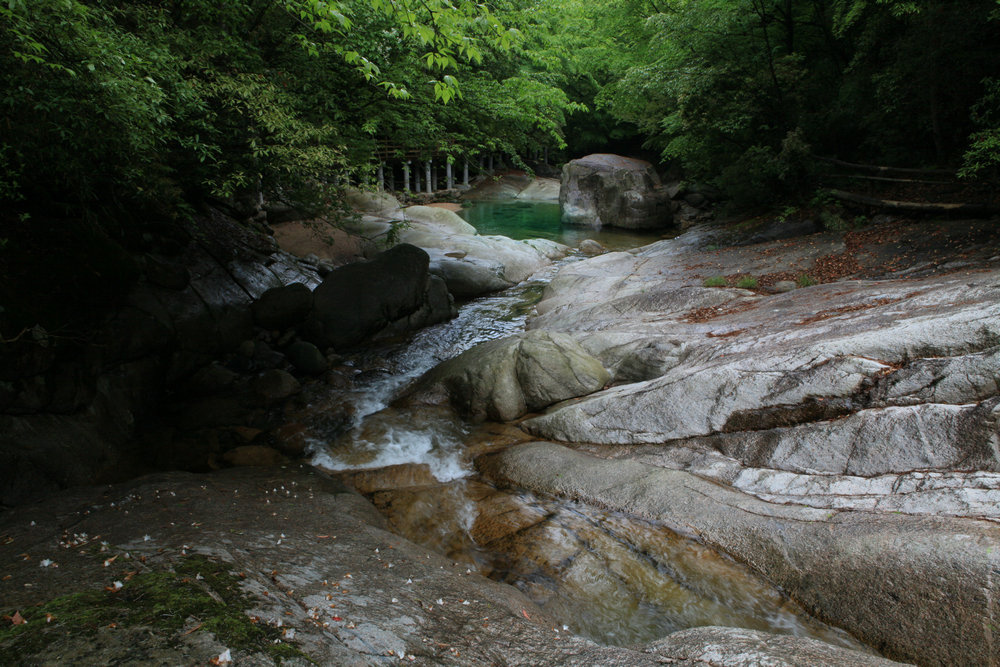 IMG_6749.jpg