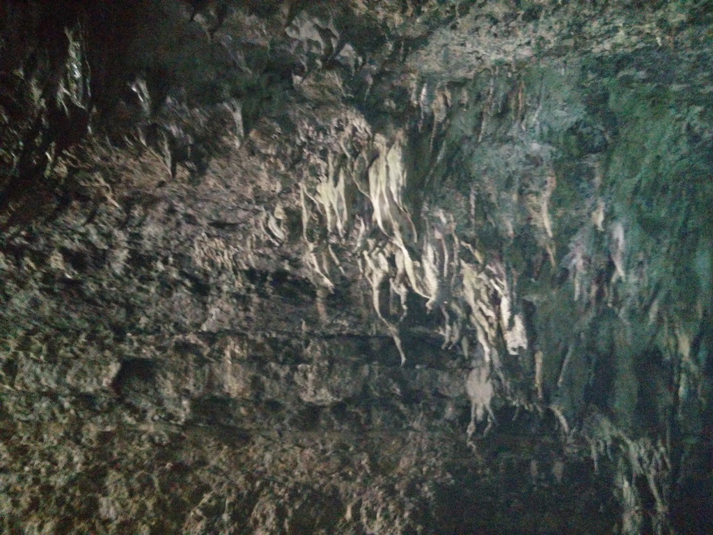 IMG20140519130608.jpg