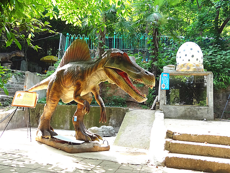 DSC07661_.jpg