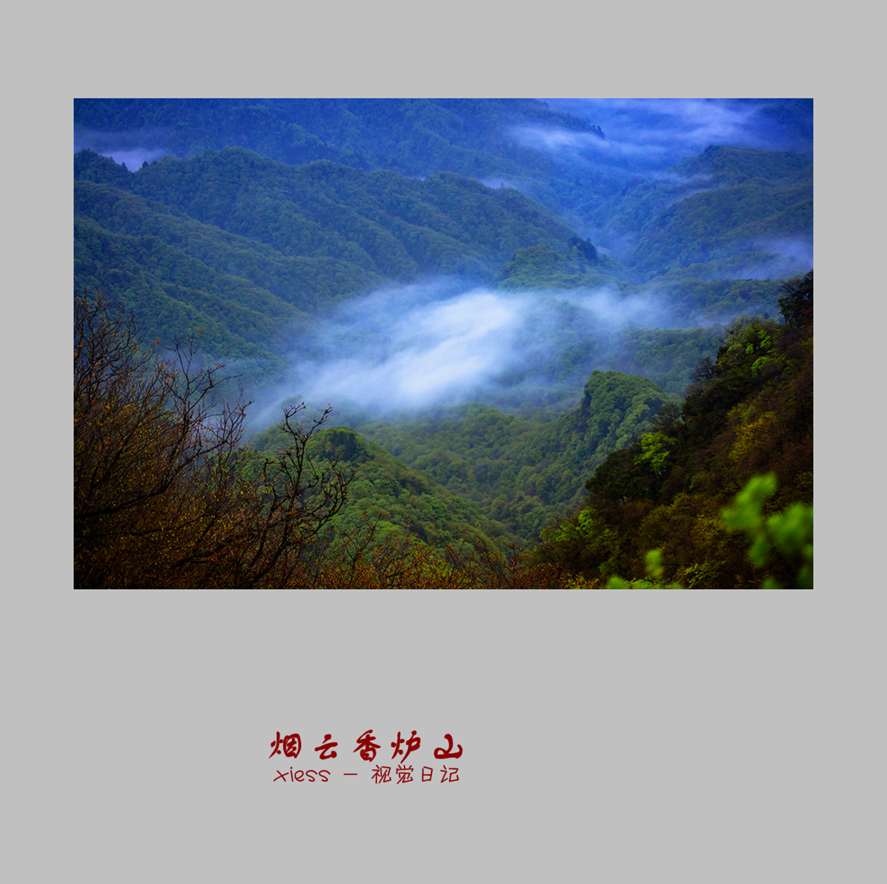 DSC03990ab.jpg