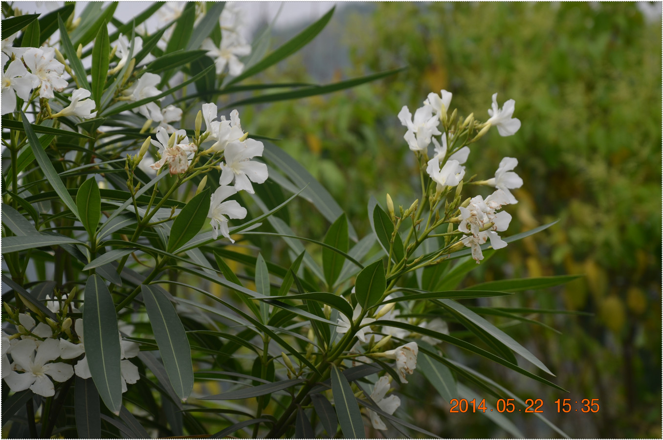 20140522 038.jpg